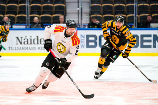 Brynäs Patrik Berglund och Skellefteås Albin Sundsvik
