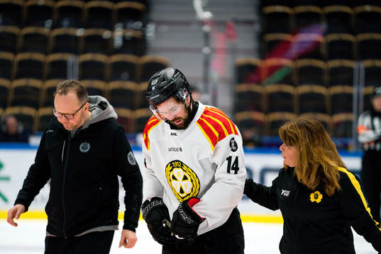 Brynäs Johan Alcén