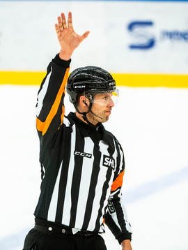 Domare Johan Magnusson