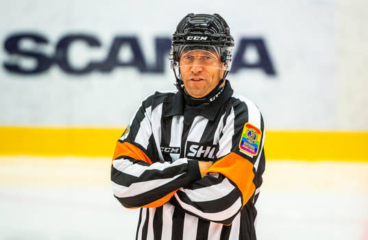 Domare Sören Persson