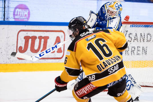 Leksands målvakt Janne Juvonen