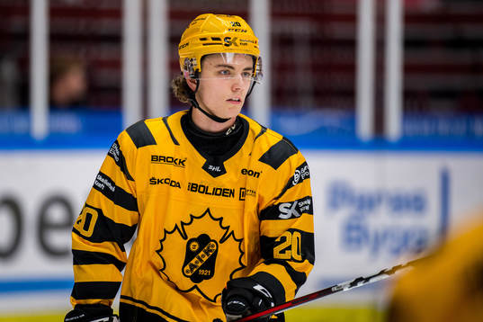 under ishockeymatchen i SHL mellan Malmö Redhawks och