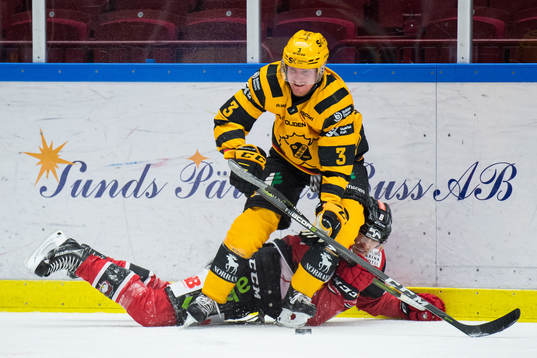 Skellefteås Niclas Burström och Malmö Redhawks Johan