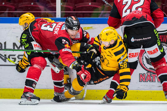 Malmö Redhawks Fredrik Händemark och Skellefteås Oskar