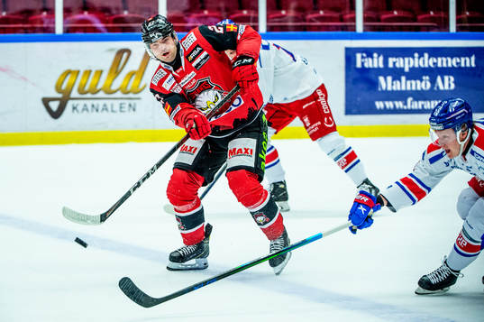 Malmö Redhawks Ponthus Westerholm