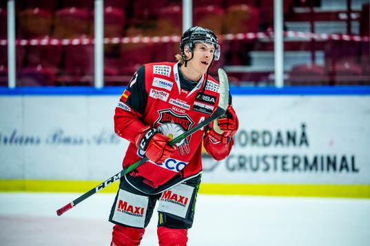 Malmö Redhawks Emil Sylvegård jublar med lagkamraterna