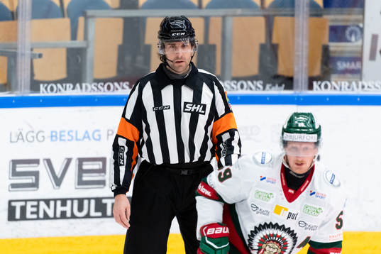 Domare Mikael Sjöqvist