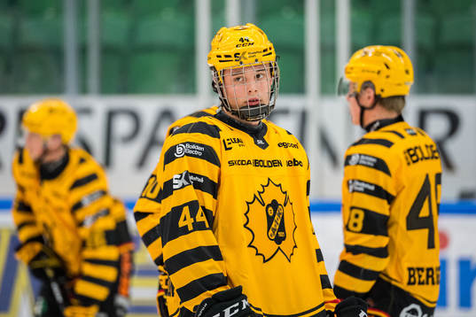 Skellefteås Elias Salomonsson