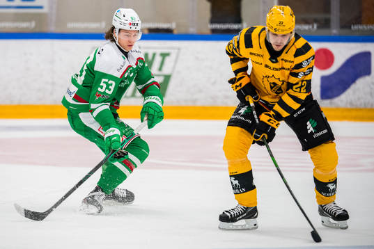 Rögles Moritz Seider och Skellefteås Jonathan Johnson