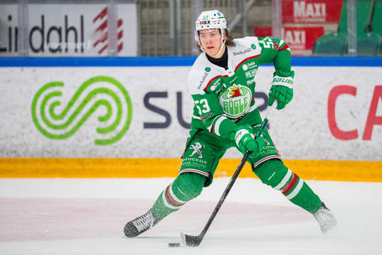 under ishockeymatchen i SHL mellan Rögle och Skellefteå