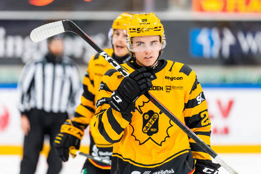 Skellefteås Elias Stenman deppar