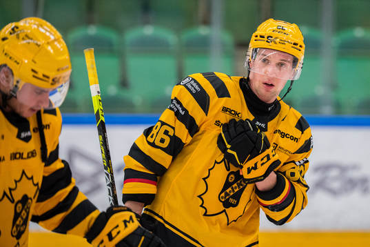 Skellefteås Tyler Morley deppar