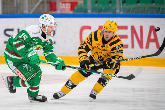 Rögles Simon Ryfors och Skellefteås Andreas Wingerli