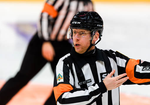 Domare Mikael Holm