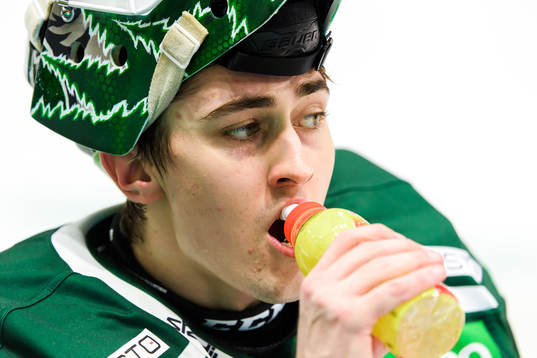 Färjestads målvakt Arvid Holm