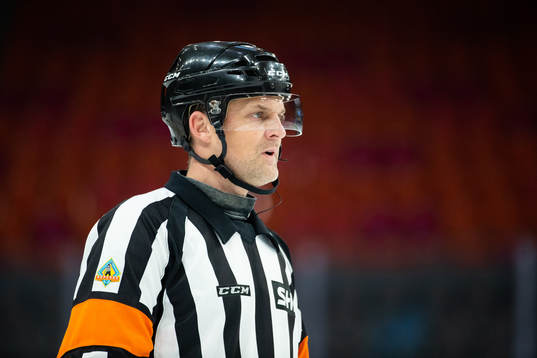 Domare Mikael Nord