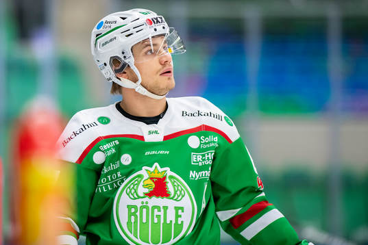 Rögles Leon Bristedt