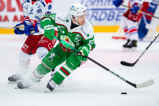 Rögles Leon Bristedt