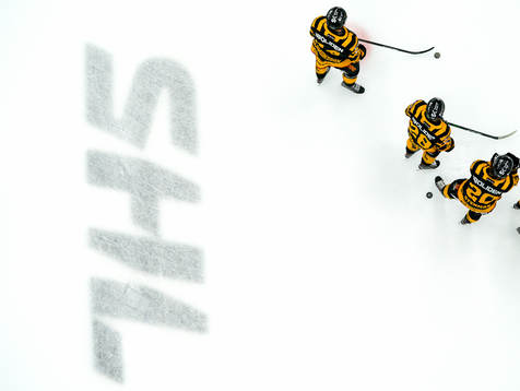 Skellefteås spelare