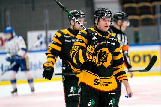 Skellefteås Rickard Hugg deppar
