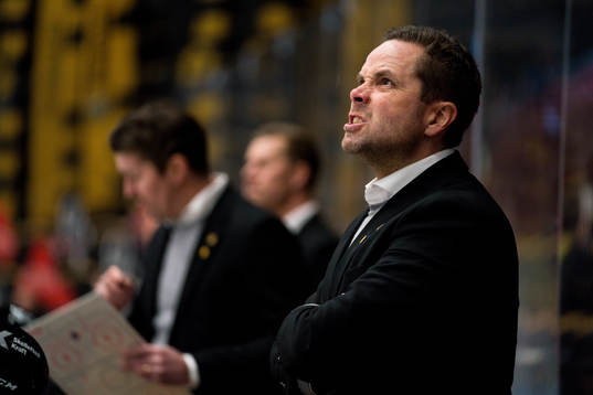 Skellefteås assisterande tränare Stefan Hedlund