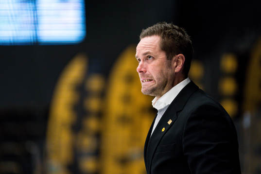 Skellefteås assisterande Stefan Hedlund