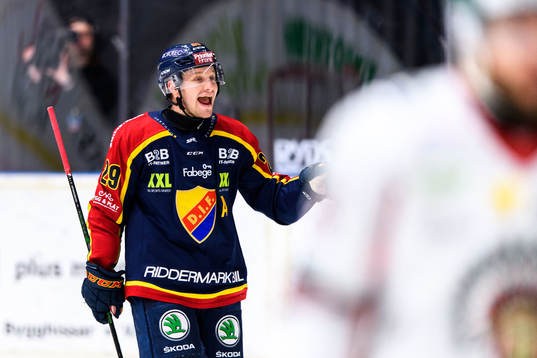 Djurgårdens Sebastian Strandberg