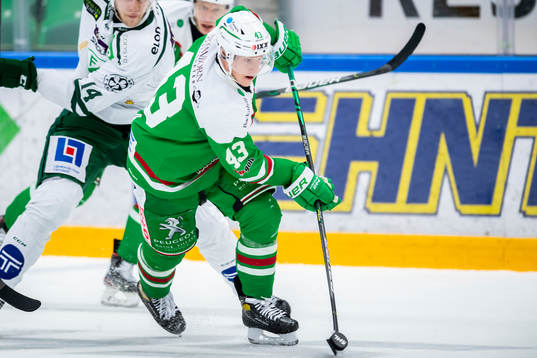Rögles Olli Palola