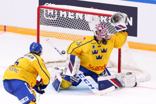Goalkeeper Magnus Hellberg of Sweden