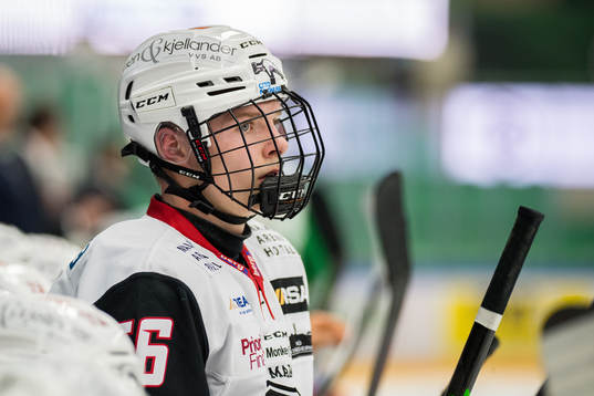 Malmö Redhawks Anton Olsson