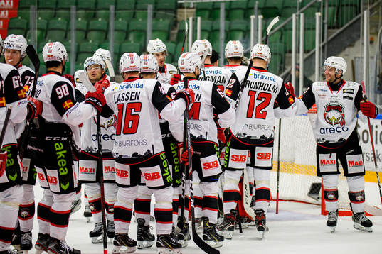 Malmö Redhawks spelare jublar