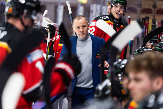 Luleås tränare Thomas Berglund
