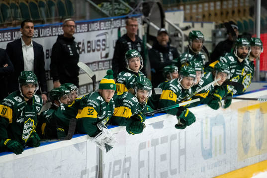 Björklövens bås