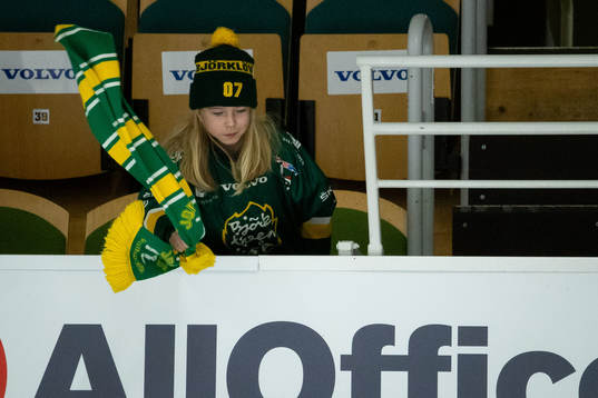 Björklöven supporter jublar