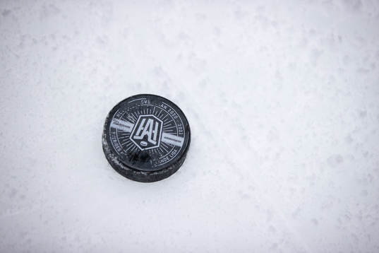 Hockeypuck