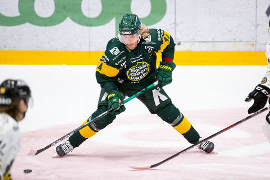 Björklövens Olle Liss