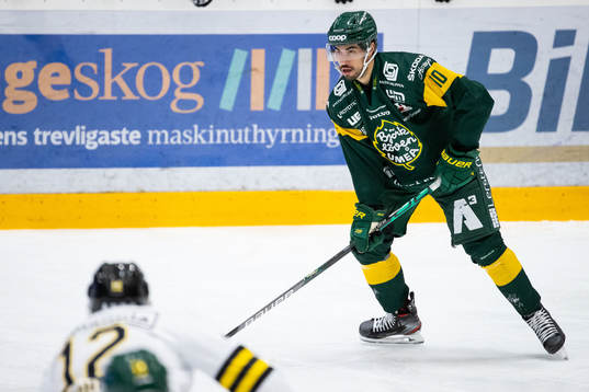 Björklövens Tyler Vesel