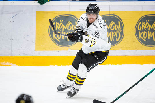 s Max Lindholm