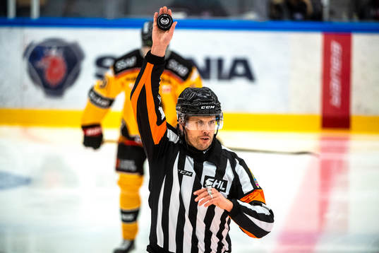 Domare Johan Magnusson