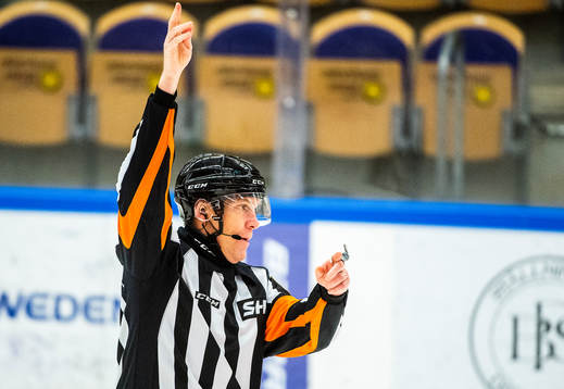 Domare Morgan Johansson