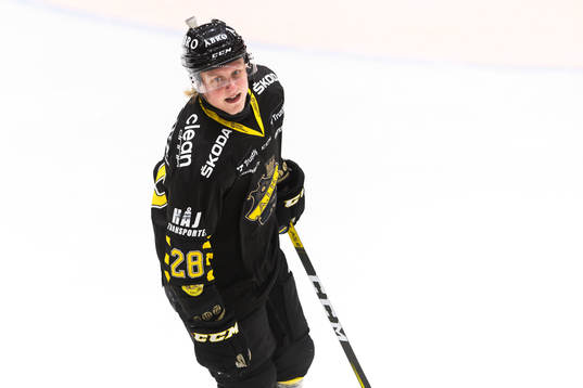 s Fabian Zetterlund jublar