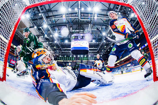 Bläddra bland fler bilder av Ishockey, SHL, Färjestad - Djurgården