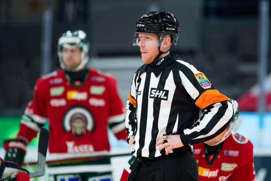 Domare Domare Mikael Holm