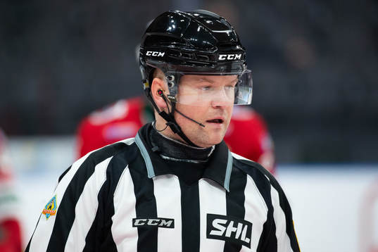 Linjedomare Ludvig Lundgren