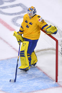 Hugo Alnefelt of Sweden looks down the ice