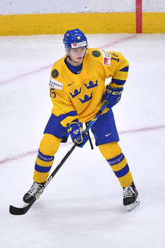 Theodor Niederbach of Sweden skates