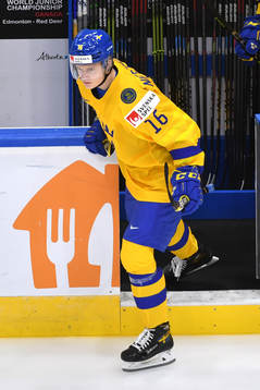 Theodor Niederbach of Sweden steps