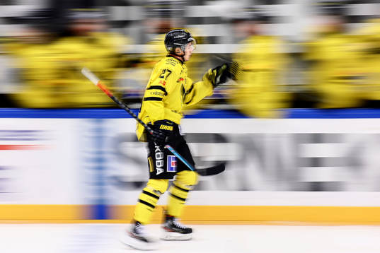 Vita Hästens Arvid Degerstedt jublar