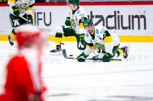 Björklövens Tyler Vesel