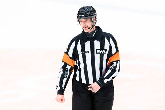 Domare Mikael Andersson